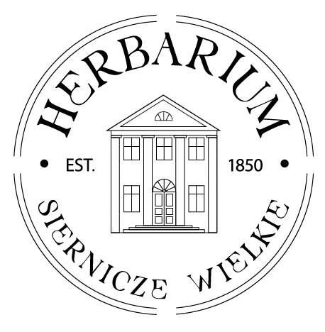Logo tekstowe - strona główna