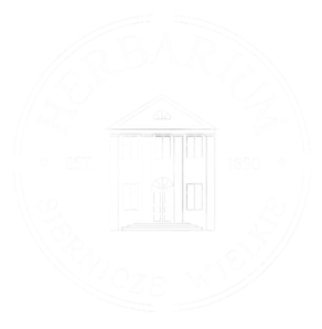 Logo tekstowe - strona główna